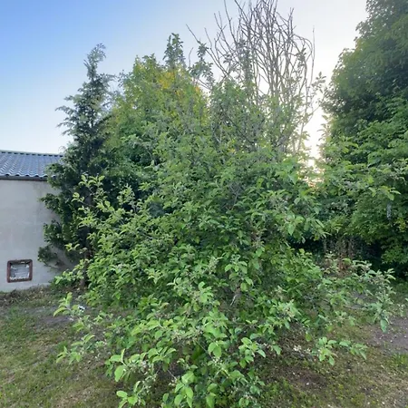 Appartement I Mellem Tonder Og Aabenraa Bylderup-Bov